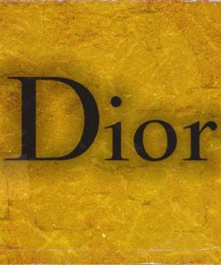 Zapatos de marca Dior