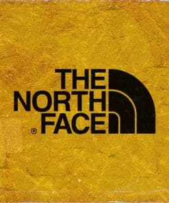 Sudadera Sin The North Face