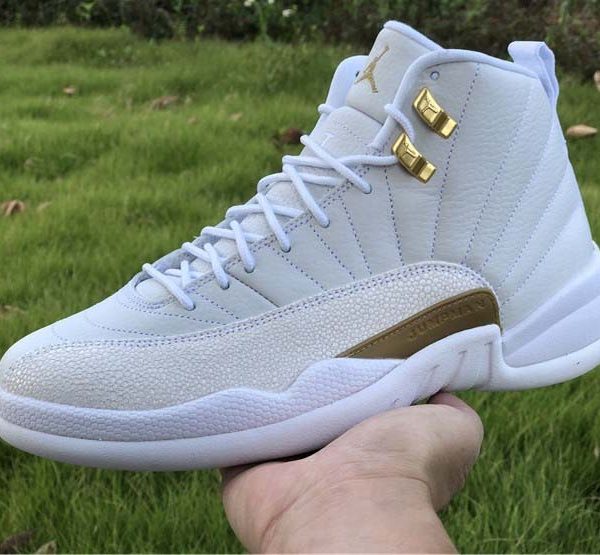 Air Jordan 12 TAZU53