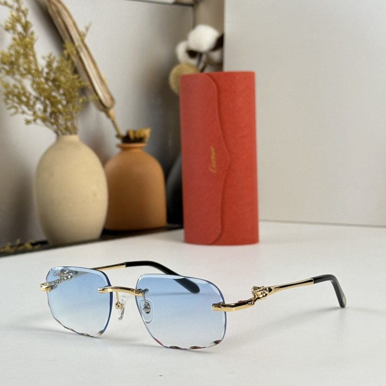 Gafas Cartier CHB4CS