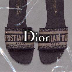 Flip Flops Dior