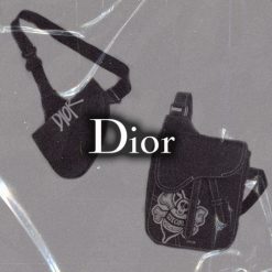 Riñoneras Dior