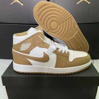 Nike Air Jordan 1 E56CXG