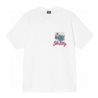 Camiseta Stussy Q2T7WL (2COLORES)
