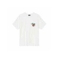 Camiseta Stussy T2Z8MR (2COLORES)
