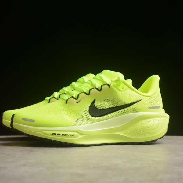 Nike Air Zoom Pegasus 41 R6N8WL