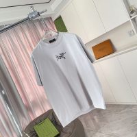 Camiseta Arcteryx TXPL3J