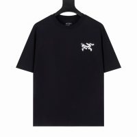Camiseta Arcteryx 3JTUCR