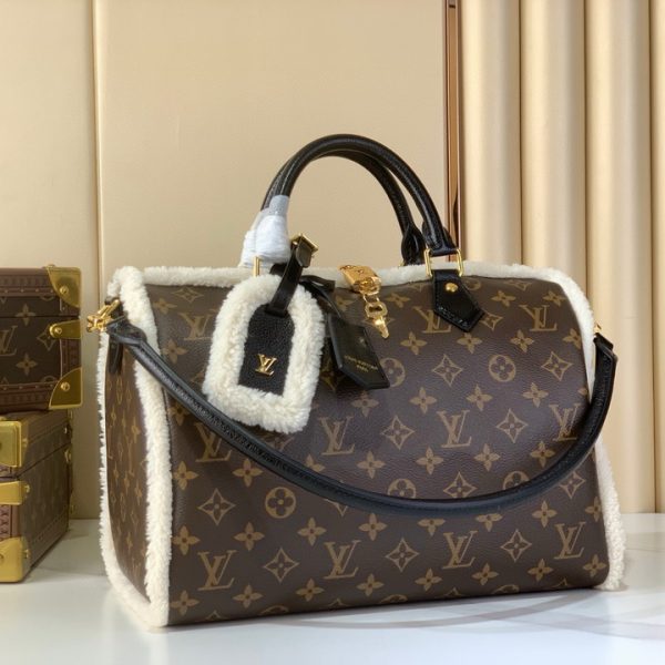 Bolso Louis Vuitton B2S7U6