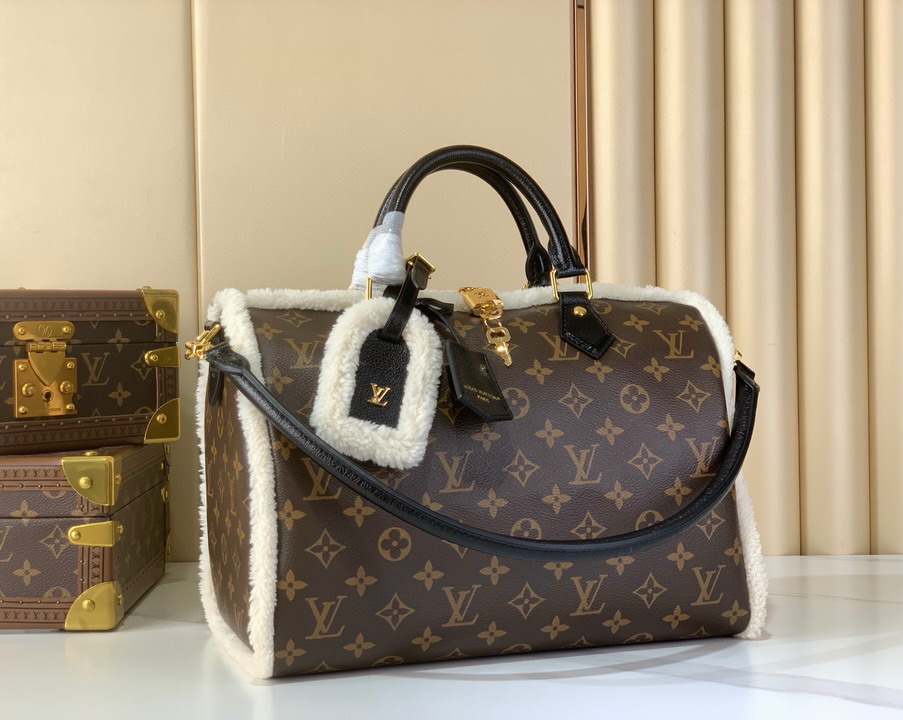 Bolso Louis Vuitton B2S7U6