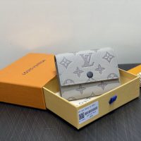 Cartera Louis Vuitton Victor N3C8F6