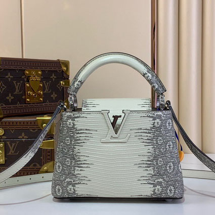 Bolso Louis Vuitton Capucines A5M2Q8