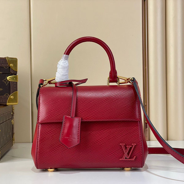 Bolso Louis Vuitton Cluny Mini