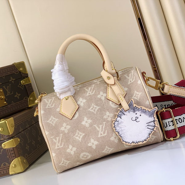 Bolso Louis Vuitton Speedy 20