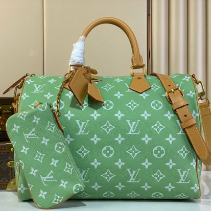 Bolso Louis Vuitton Speedy F8Q7T2