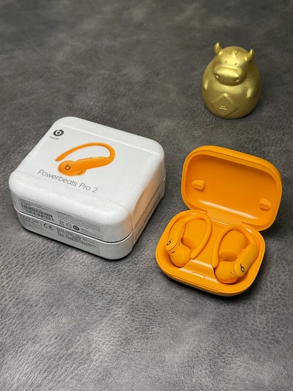 Beats Powerbeats Pro 2 T9C3Q4