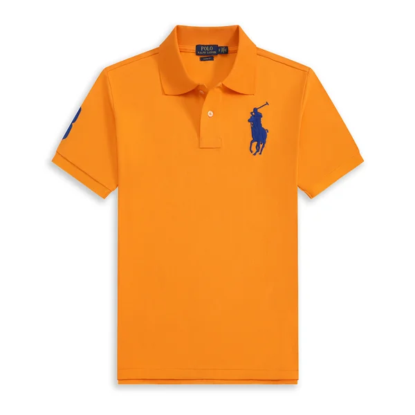 Polo Polo Ralph Lauren AA0106 (2COLORES)